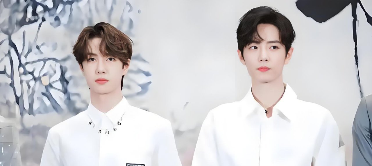 Chart illustrating BJYX fandom psychology patterns