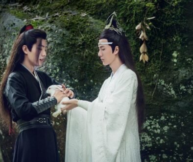 314 WangXian Fanfiction exploring devotion and soulmates in The Untamed