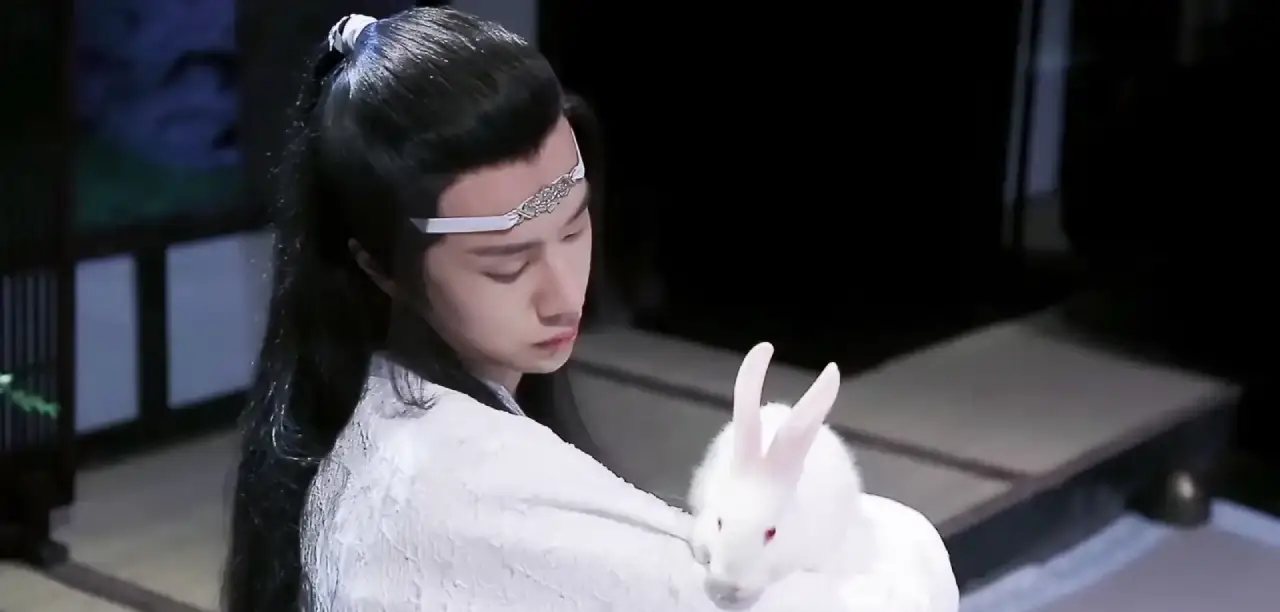 Lan Wangji character analysis highlighting his stoic personality and moral integrity